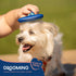 Good Scout Pet Hair Rake with Rounded Teeth
