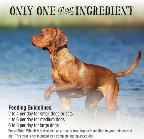 Northwest Naturals Raw Rewards Freeze-Dried Whitefish Treats for Dogs and Cats, 2.5 Oz - Healthy Pet Food