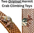 (2-Pack) Hermit Crab Climbing Ladders | Hermit Crab Tank Enrichment Decor | Decoration Accessories Supplies Toys