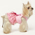 Fitwarm Pink Birthday Girl Dog Tulle Dress, Dog Clothes for Small Dogs Girl, Cat Apparel, XX-Small