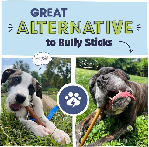 Pawstruck All Natural 5-6" Roasted Collagen Sticks for Dogs - Low Odor, Vet Approved, 10 Pack