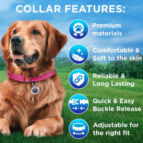 TECEUM Reflective Pet Collar – Hot Pink – M – Basic Nylon Dog Collar with Extra Soft Padding – Quick Release Buckle