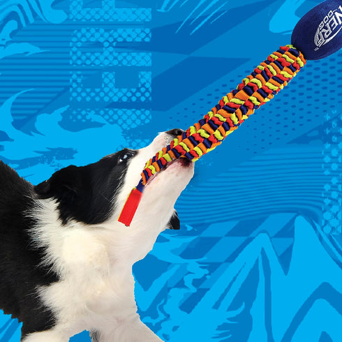 Nerf Dog 25in Rainbow Vortex Chain Tug Toy, Blue/Green/Orange/Red