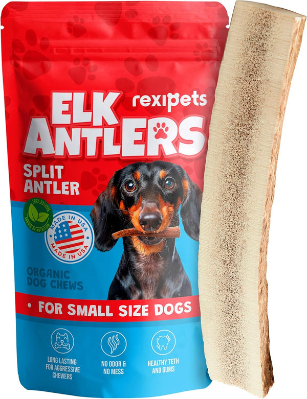 Split Elk Antler Chew for Small Dogs, Grade A, Long Lasting, Organic Treats & Toys, Naturally Shed