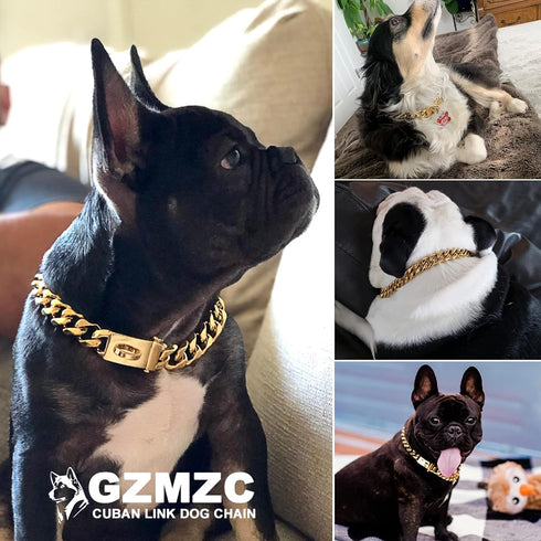 Dog Chain Collar, 19mm Snap Clasp, Stainless Steel 18K Gold Curb Chain, Pet Walking Collar (26 inches)