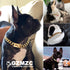Dog Chain Collar, 19mm Snap Clasp, Stainless Steel 18K Gold Curb Chain, Pet Walking Collar (26 inches)