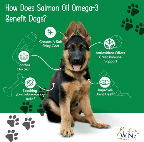 Omega 3 Skin and Coat Chews for Dogs, Salmon Oil Supplement for Joint Pain Relief, 55 Chews, 8 Oz