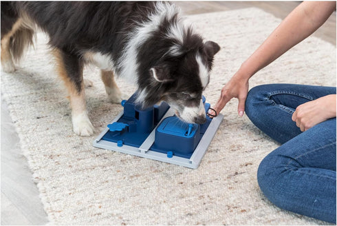 2 3 TRIXIE Poker Box Dog Activity Interactive Toy, Level Food Puzzle Game, Brain Teasing Treat Dispenser, IQ and Mental