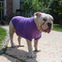 Lovelonglong Bulldog Clothes - Blank T-Shirt Tee for French Bulldog, English Bulldog, American Pit Bull, Pugs - Purple