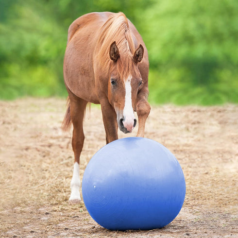 Rural365 Large Horse Ball Toy - 40in Anti-Burst Giant Horse Ball with Pump Included (Blue)