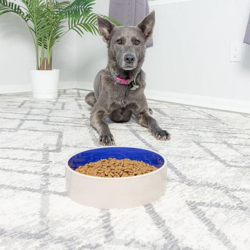 SPOT Ceramic Stoneware Pet Bowl, 9.5in Diameter - Heavy Duty Non-Slip Bowl for Medium and Large Dogs