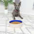 SPOT Ceramic Stoneware Pet Bowl, 9.5in Diameter - Heavy Duty Non-Slip Bowl for Medium and Large Dogs