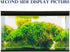 New 20" x 48" Fish Tank Background Paper, 2 Sided Colorful Seaweed Water Plants Aquarium Poster