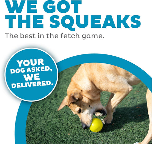 Outward Hound Orbee-Tuff Squeak Ball, Yellow Dog Fetch Toy