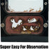 Live Ant Farm Habitat - Natural Learning Toy for Kids