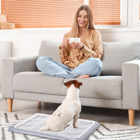 Bathroom(19.69 14.17 Inch) Mifoci Dog Training Pad Holder with Mesh Tray Non-Slip Leak Proof Puppy Potty Tray for Small