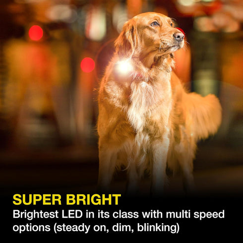 Max & Molly Rechargeable LED Dog Collar Light - Waterproof Safety Light for Night Walking, Running, Biking