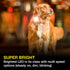 Max & Molly Rechargeable LED Dog Collar Light - Waterproof Safety Light for Night Walking, Running, Biking
