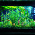 Fish Tank Plants, 20pcs Artificial Green Plants Aquarium Decorations, Fish Tank Accessories for Household and Office