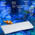 Nosiny 20 Pieces Filter Foam Pad - Compatible with U3 Underwater Sponge Aquarium Filter Accessories