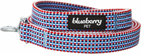 Blueberry Pet Multicolor Braids Dog Leash | 5 ft x 5/8", Small | Stylish Leashes for Dogs