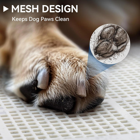 23.5"x23.5" 4 PAWISE Male Dog Pee Pad Holder with High Wall, Indoor Potty Tray for Medium/Large Dogs, Reusable Large