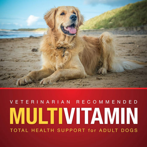VetIQ Multivitamin Supplement for Dogs, Health Support Soft Chews, 90 Count