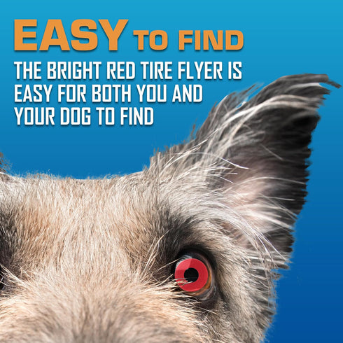 Nerf Dog Atomic Flyer Outdoor Dog Toy, 10 Inch Flying Disc for Medium and Large Dogs, Red