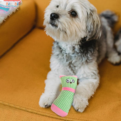 2 Pcs Durable Dog Squeaky Toys, Plush Stuffed Socks, Bite-Resistant Chewing Toys for Pet Birthday