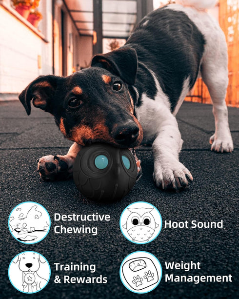 Giggle Ball for Dogs - Owl Toy for Aggressive Chewers, Natural Rubber Punching Ball for Medium Large Dogs