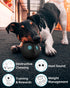 Giggle Ball for Dogs - Owl Toy for Aggressive Chewers, Natural Rubber Punching Ball for Medium Large Dogs