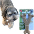 SPOT Bam-Bones Wishbone Dog Chew - Made with Strong Bamboo Fiber, 7in, Chicken Flavor for Light to Moderate Chewers