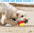 6Pcs Squeaky Dog Balls, Tough Training Toys for Dogs, High Bouncy Balls for Interactive Play and Teething (2.5in)