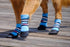 Bark Brite Dog Boots, Lightweight Neoprene Paw Protector in Blue Md, 5 Sizes for Comfort and Breathability