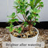 20 lbs Pea Gravel Pebbles for Indoor Plants, Mixed Color River Rocks for Aquarium and Garden Landscaping