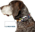 Dog Collar Seatbelt Buckle Nick 90s Rewind - Navy Blue, 11 to 17 Inches, 1.0 Inch Wide