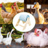 MinrzPet Chicken Coop Accessories, Beak Grinding Calcium Stone with Wooden Stand, Chicken Enrichment Toys, Toys