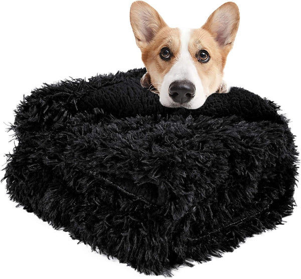 LOCHAS Luxury Fluffy Dog Blanket, Extra Soft Sherpa Fleece Pet Blankets for Dogs Cats, 30''x40'' Black