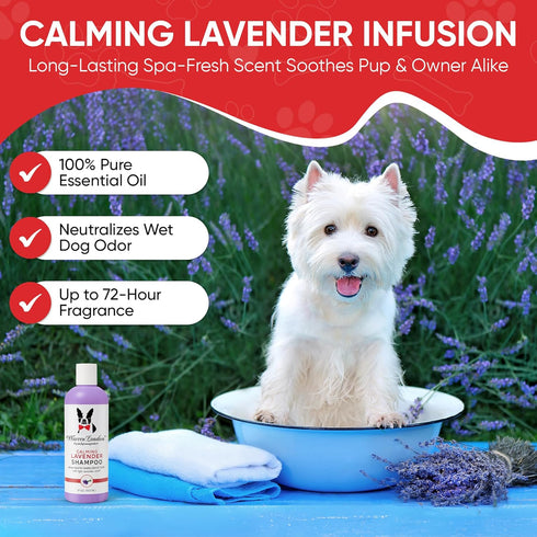 17 oz Warren London Calming Lavender Dog Shampoo | Softening Aloe Vera & Essential Oils for Dogs | Leaves Coat Silky