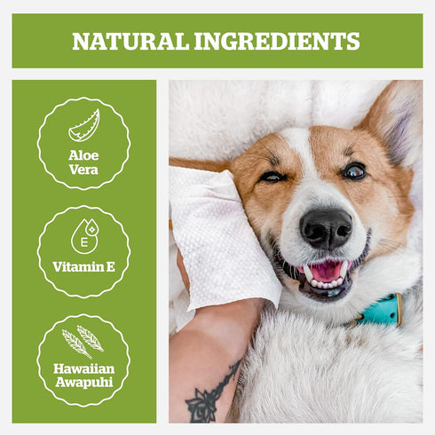Pogi's Dog Grooming Wipes Travel Packs - 120 Dog Wipes for Cleaning and Deodorizing - Hypoallergenic Pet Wipes for Dogs, Puppy Wipes - Quick Bath Dog Wipes for Paws, Butt, & Body - Fragrance Free