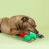 (314431) Fringe Studio Pizzasaurus REX Plush Dog Toy, Pet Shop Collection