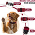 Small Dog Collar for Girl Boy, Cotton Collar for Mini Dogs, Extra Small with Buckle, D-Ring, Removable Tag (9.8"-15.7"