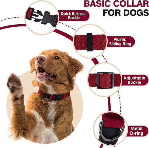 Medium Dog Collar for Mini Dogs, Cotton Collar with Buckle, D-Ring, and Removable Tag (13.7"-19.7" L, 1" W)