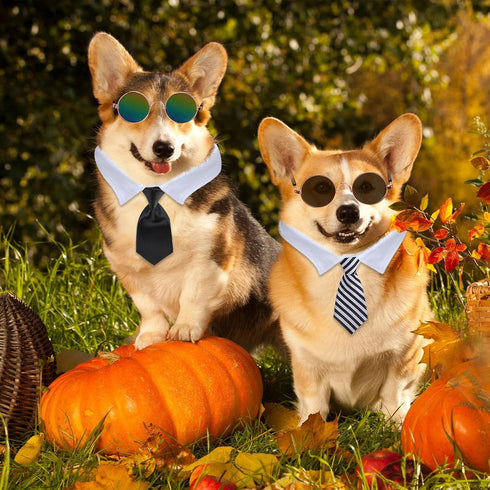 8 Pcs Pet Dog Cat Costume - Halloween Dog Neck Tie and Sunglasses for Small Dog Cat Accessories Halloween Cosplay Party