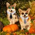 8 Pcs Pet Dog Cat Costume - Halloween Dog Neck Tie and Sunglasses for Small Dog Cat Accessories Halloween Cosplay Party