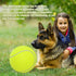 Pomeat 2 PCS Giant Tennis Balls for Dogs, 9.5" Inflatable Non-Toxic Chew Toy with Pump & Needle