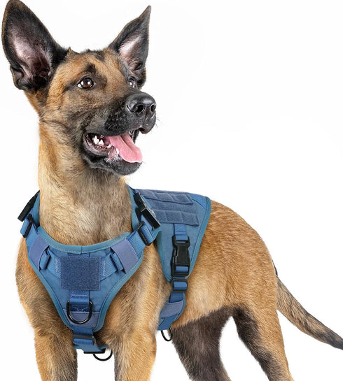 rabbitgoo Tactical Dog Harness for Large Dogs, Heavy Duty No-Pull Vest with Handle for Training and Walking, Blue, S