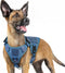 rabbitgoo Tactical Dog Harness for Large Dogs, Heavy Duty No-Pull Vest with Handle for Training and Walking, Blue, S