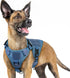rabbitgoo Tactical Dog Harness for Large Dogs, Heavy Duty No-Pull Vest with Handle for Training and Walking, Blue, S