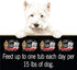 CESAR SIMPLY CRAFTED Adult Soft Wet Dog Food Meal Topper, Beef, Chicken, Purple Potatoes, 10 Tubs, 1.3 oz